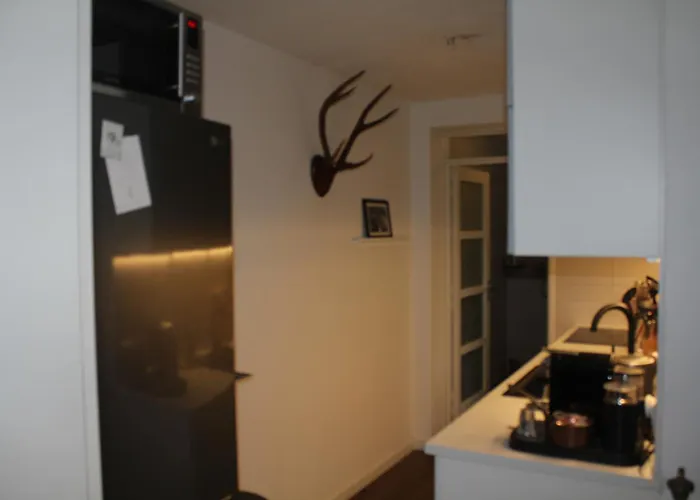 Cozy In The Centre Of Lejlighed